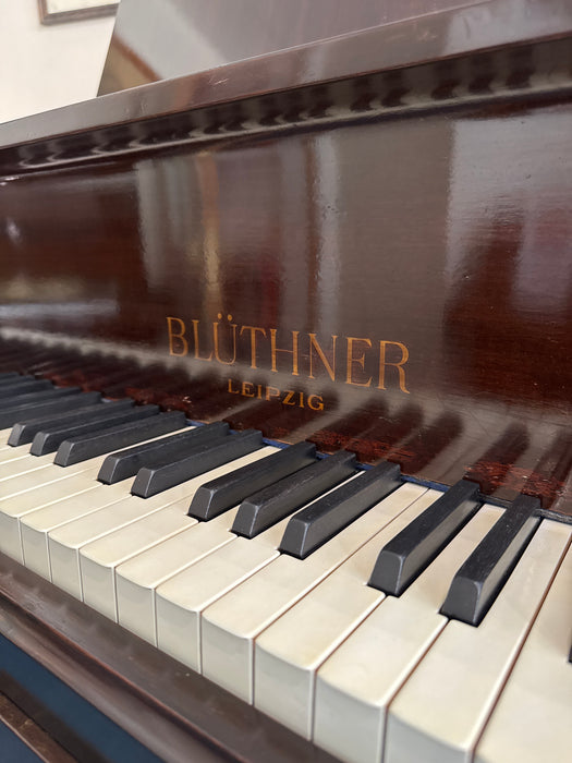 Bluthner style IV