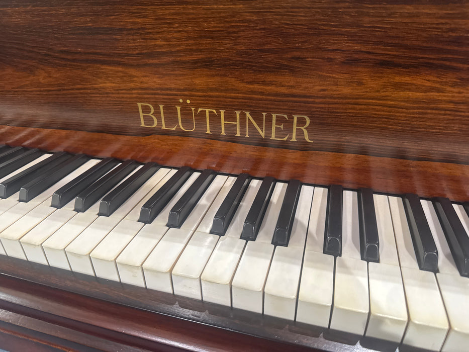 Bluthner