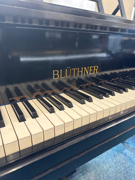 Bluthner 4a