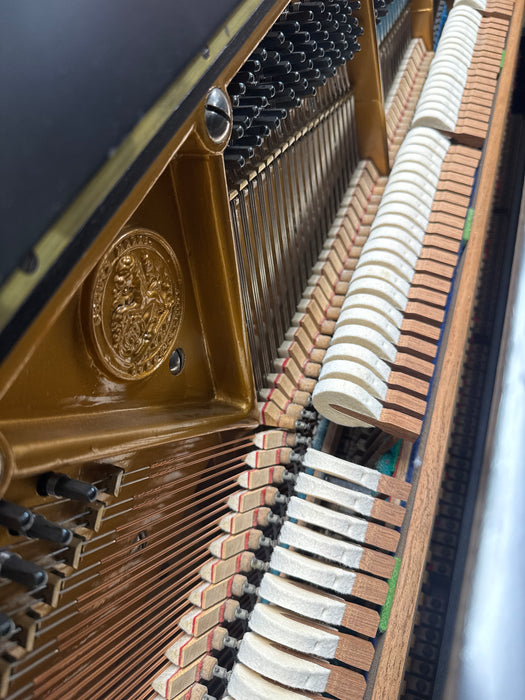 Bechstein model 9