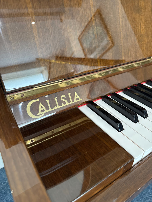 Calisia