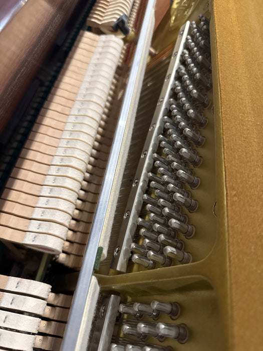 Yamaha M110N