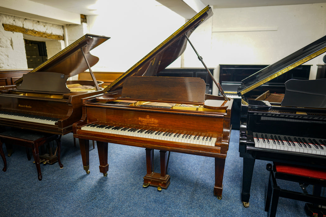 Steinway Model O