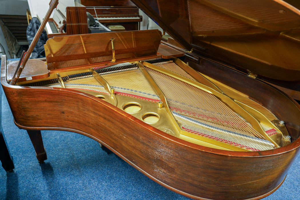 Steinway Model O 5'11" 180