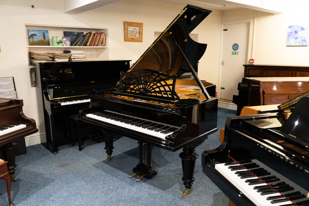 Bechstein model deals v